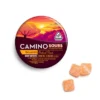 camino edibles
