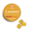 camino edibles