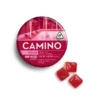 camino edibles